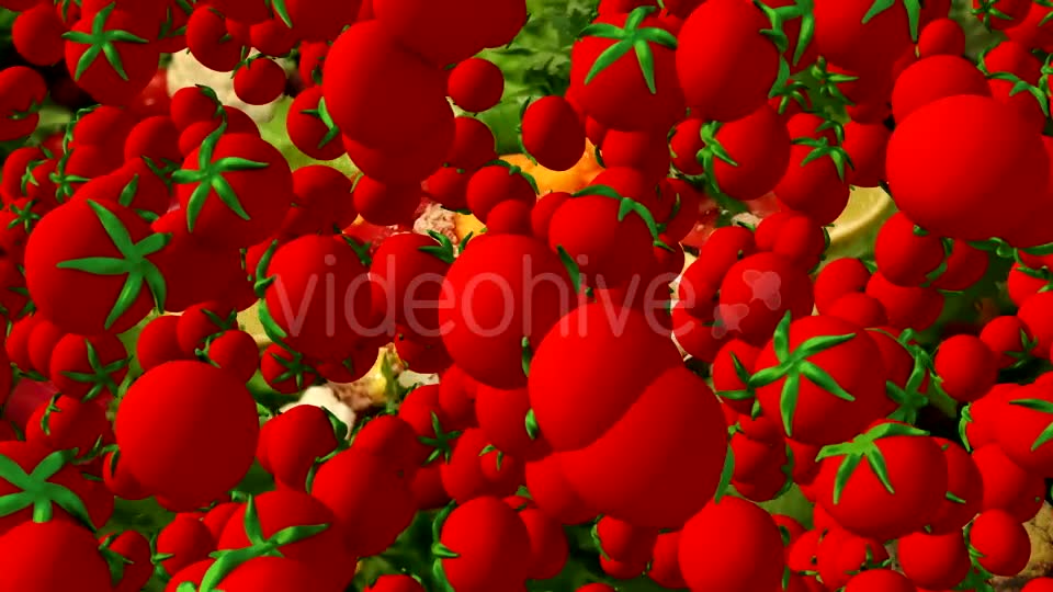 Cartoon Vegetable Transition Videohive 16909895 Motion Graphics Image 2