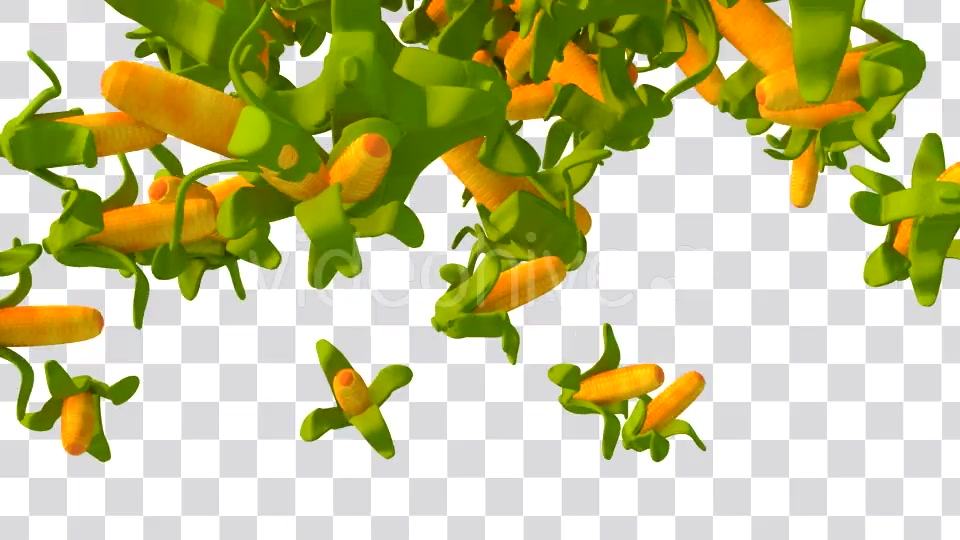 Cartoon Vegetable Transition Videohive 16909895 Motion Graphics Image 4