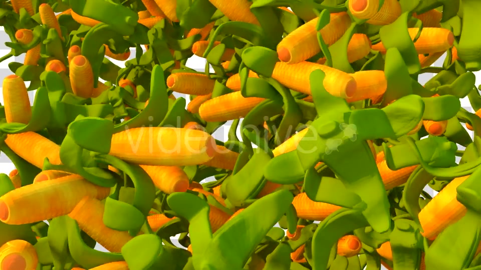 Cartoon Vegetable Transition Videohive 16909895 Motion Graphics Image 5