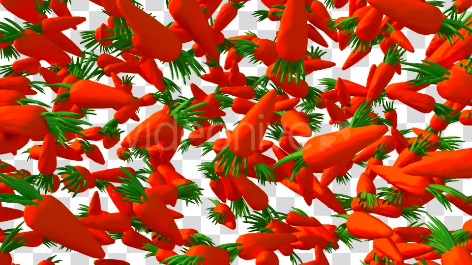 Cartoon Vegetable Transition Videohive 16909895 Motion Graphics Image 9