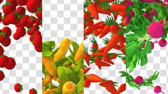 Cartoon Vegetable Transition - 16909895 Videohive Download