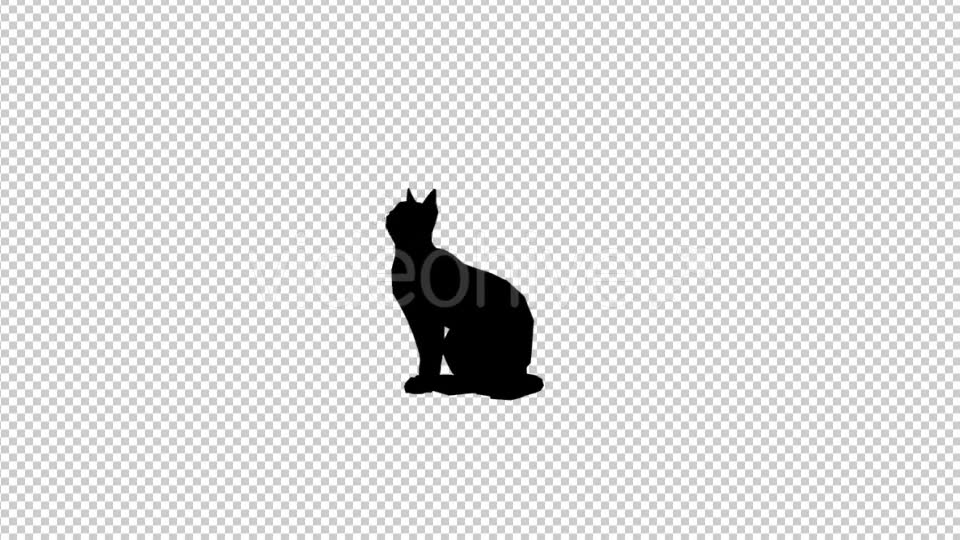 Cat Silhouette 2 Videohive 20212154 Motion Graphics Image 2