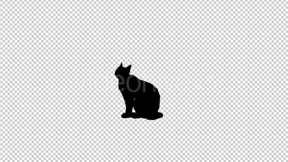 Cat Silhouette 2 Videohive 20212154 Motion Graphics Image 3