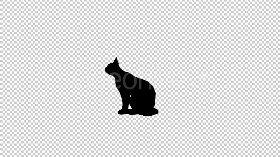 Cat Silhouette 2 Videohive 20212154 Motion Graphics Image 4