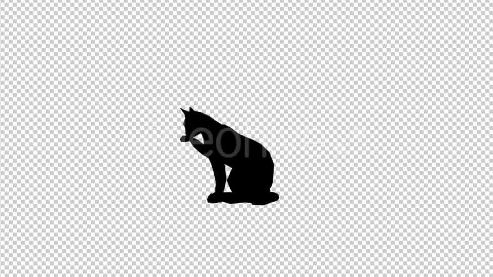 Cat Silhouette 2 Videohive 20212154 Motion Graphics Image 8