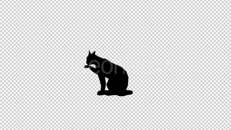 Cat Silhouette 2 Videohive 20212154 Motion Graphics Image 9