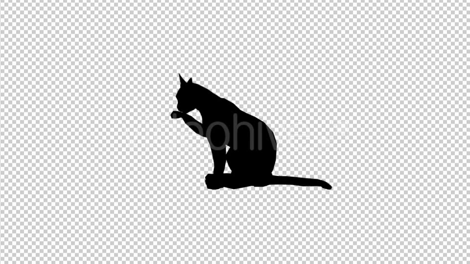 Cat Silhouette Videohive 19622989 Motion Graphics Image 3