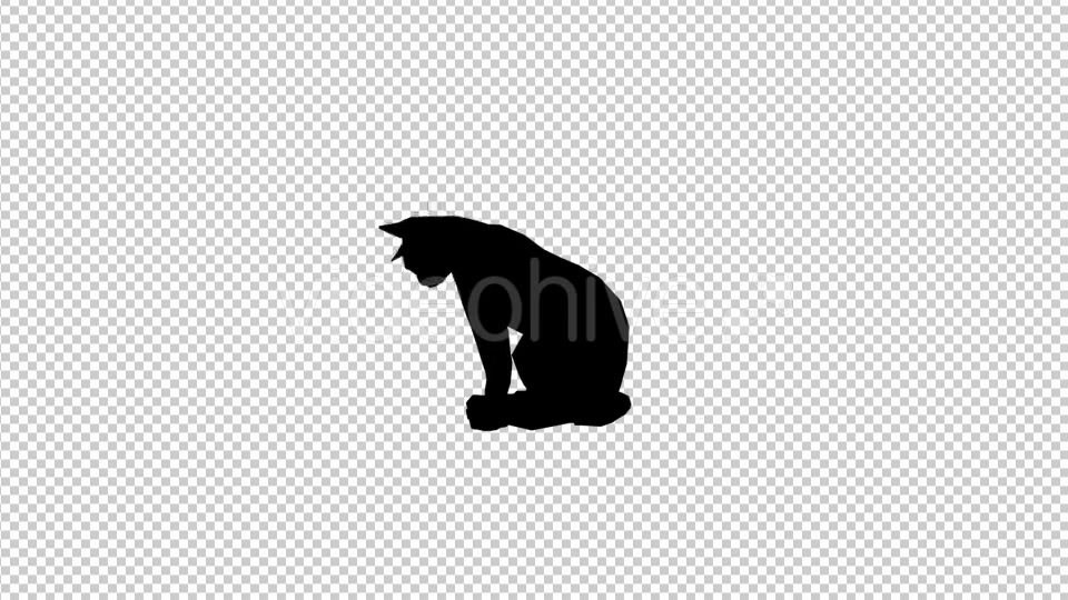 Cat Silhouette Videohive 19622989 Motion Graphics Image 4