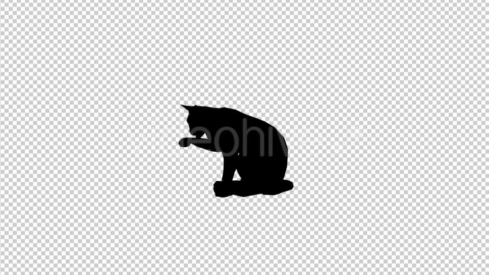 Cat Silhouette Videohive 19622989 Motion Graphics Image 6