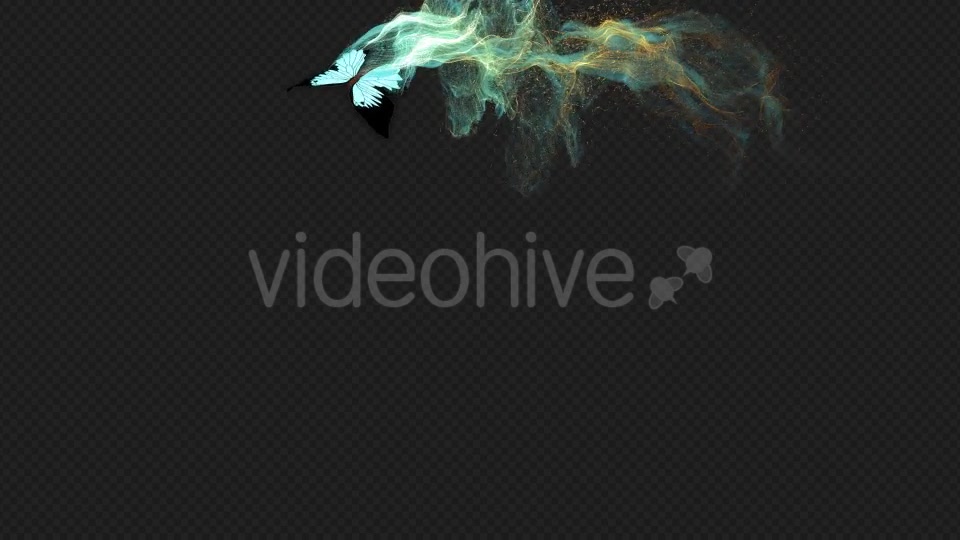 Cayn Butterfly Gorgeous Particle Light Trailing Flying V1 HD Videohive 19522132 Motion Graphics Image 12