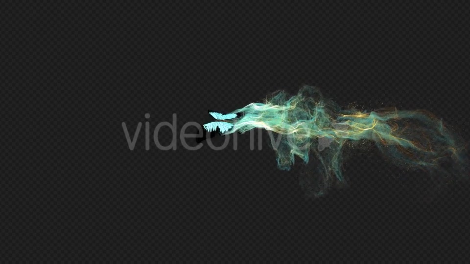 Cayn Butterfly Gorgeous Particle Light Trailing Flying V1 HD Videohive 19522132 Motion Graphics Image 6
