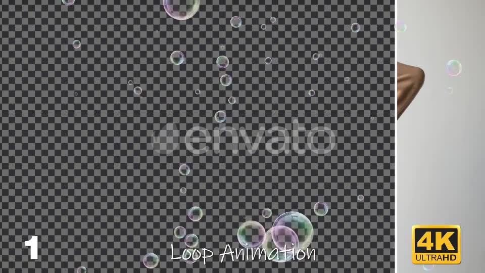 Celebration Soap Bubbles Videohive 24287931 Motion Graphics Image 1