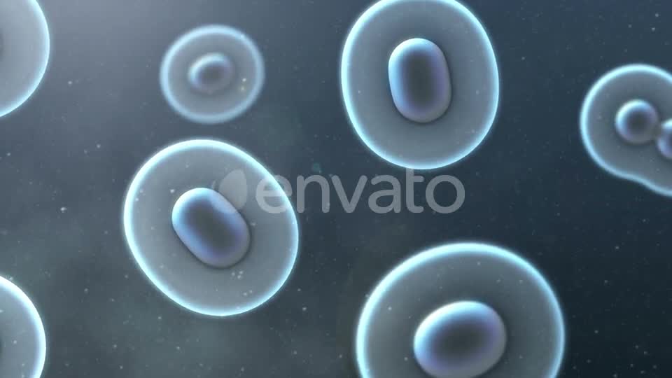 Cell Division Loop Background Videohive 22552334 Motion Graphics Image 1