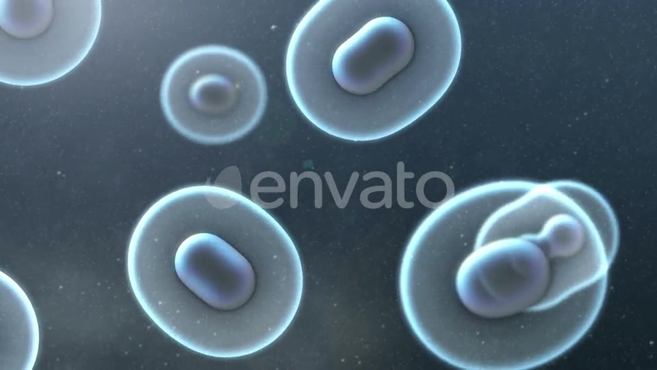 Cell Division Loop Background Videohive 22552334 Motion Graphics Image 10