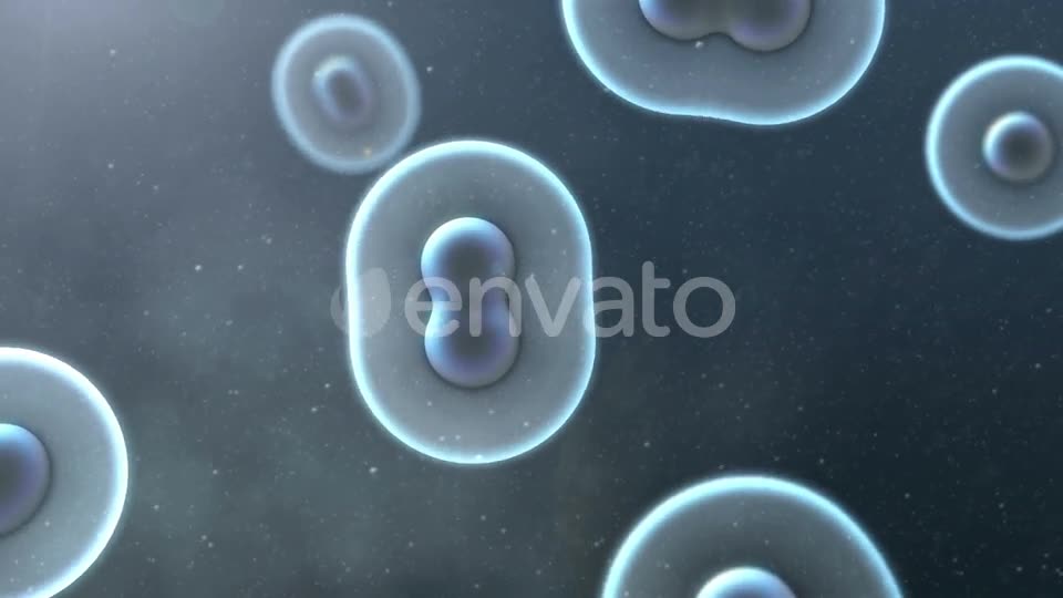 Cell Division Loop Background Videohive 22552334 Motion Graphics Image 2