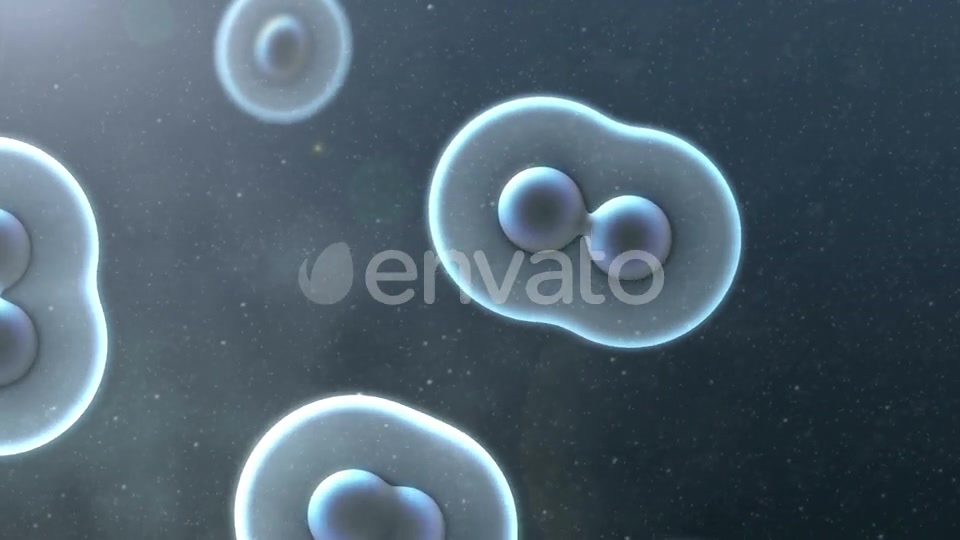 Cell Division Loop Background Videohive 22552334 Motion Graphics Image 3