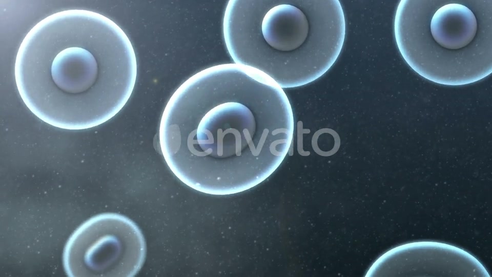 Cell Division Loop Background Videohive 22552334 Motion Graphics Image 4