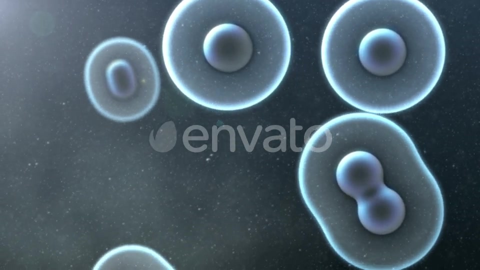 Cell Division Loop Background Videohive 22552334 Motion Graphics Image 5