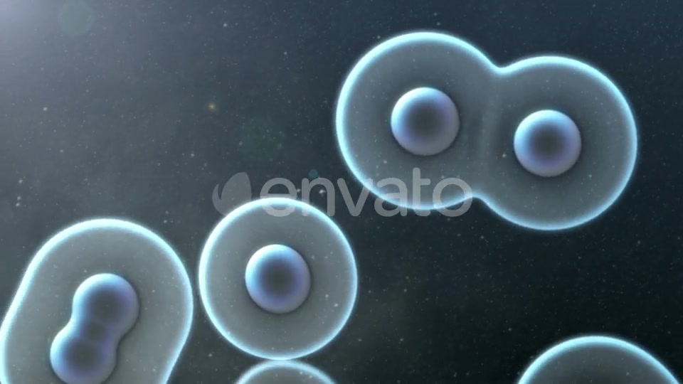 Cell Division Loop Background Videohive 22552334 Motion Graphics Image 6