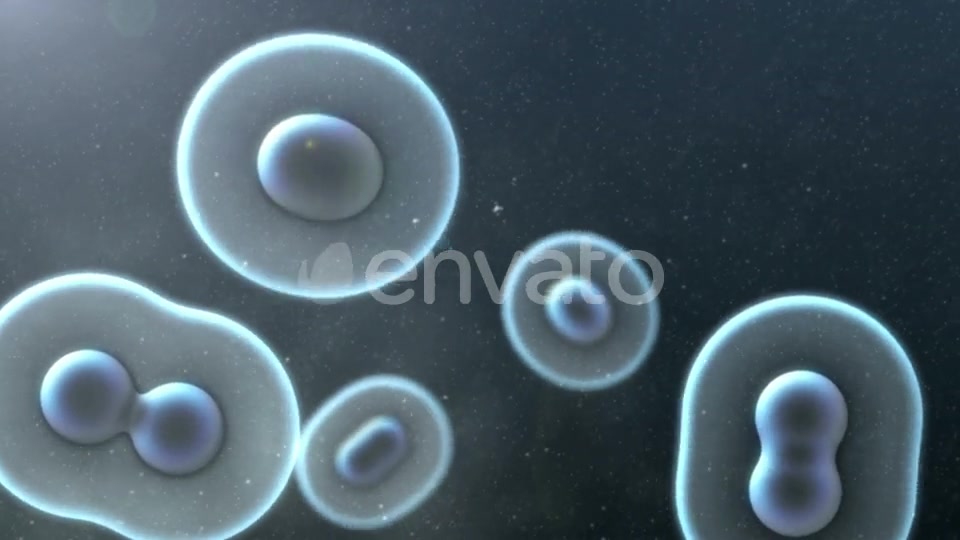 Cell Division Loop Background Videohive 22552334 Motion Graphics Image 7