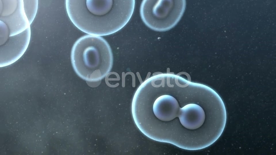 Cell Division Loop Background Videohive 22552334 Motion Graphics Image 8