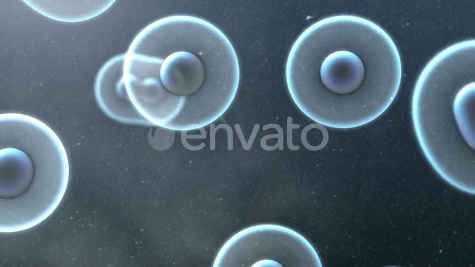 Cell Division Loop Background Videohive 22552334 Motion Graphics Image 9