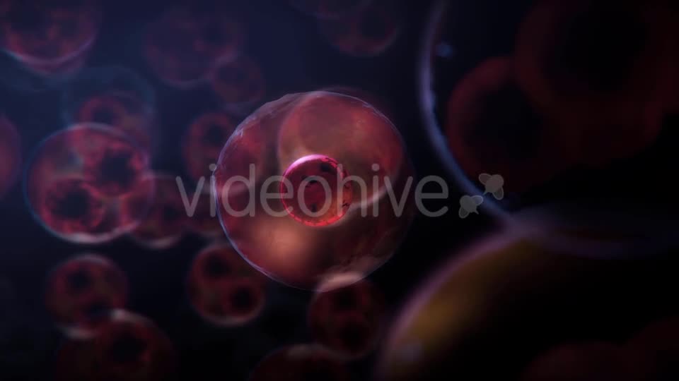 Cell DNA Hyper Division Videohive 19712618 Motion Graphics Image 1
