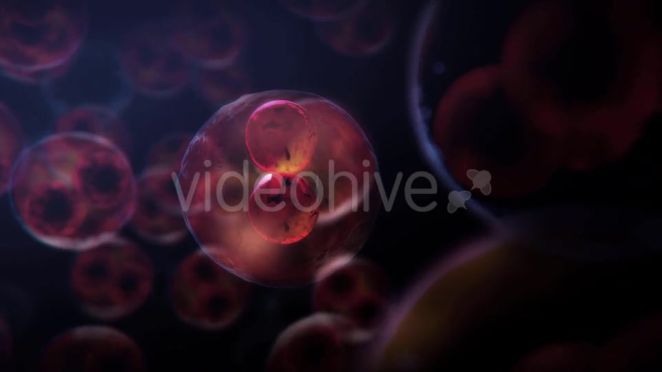Cell DNA Hyper Division Videohive 19712618 Motion Graphics Image 2