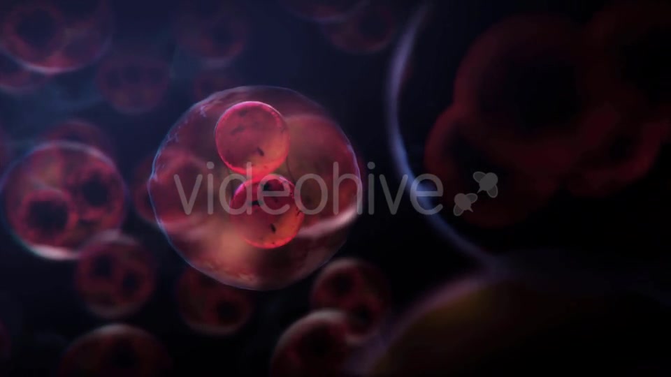 Cell DNA Hyper Division Videohive 19712618 Motion Graphics Image 3