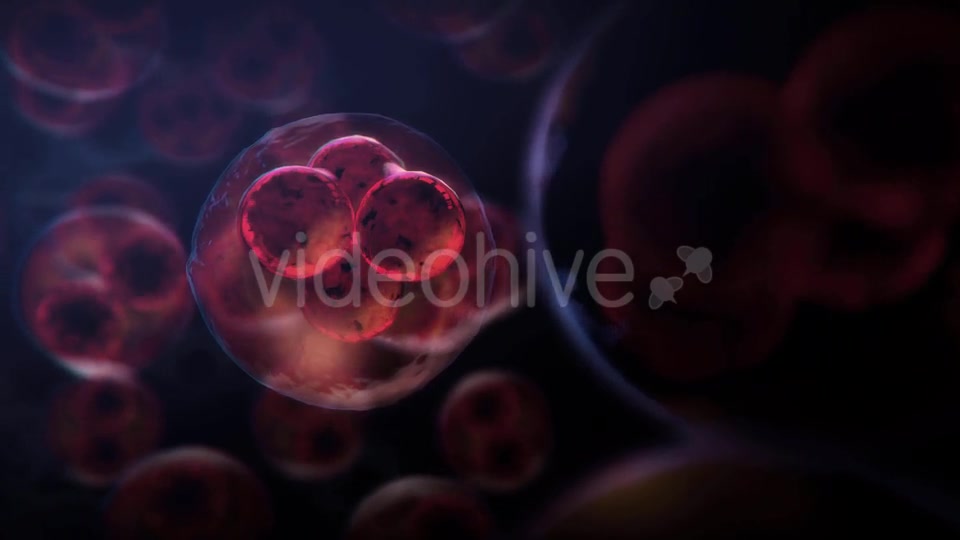 Cell DNA Hyper Division Videohive 19712618 Motion Graphics Image 4