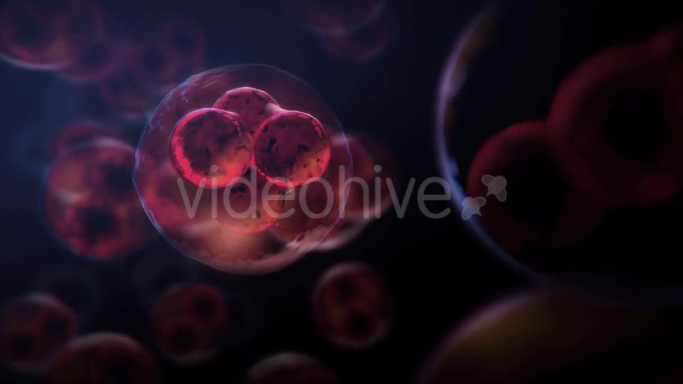 Cell DNA Hyper Division Videohive 19712618 Motion Graphics Image 5