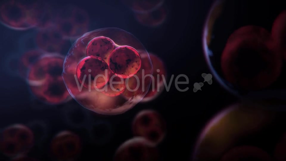 Cell DNA Hyper Division Videohive 19712618 Motion Graphics Image 6