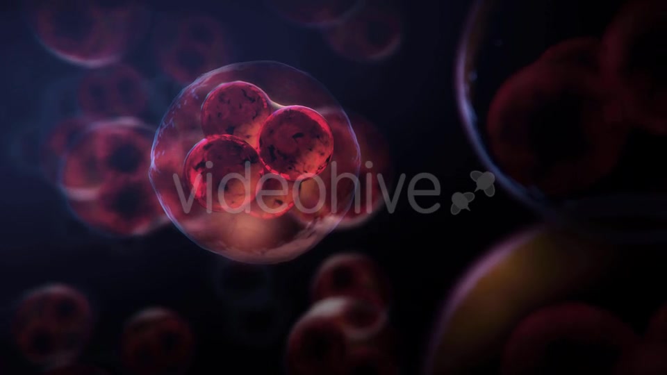 Cell DNA Hyper Division Videohive 19712618 Motion Graphics Image 7