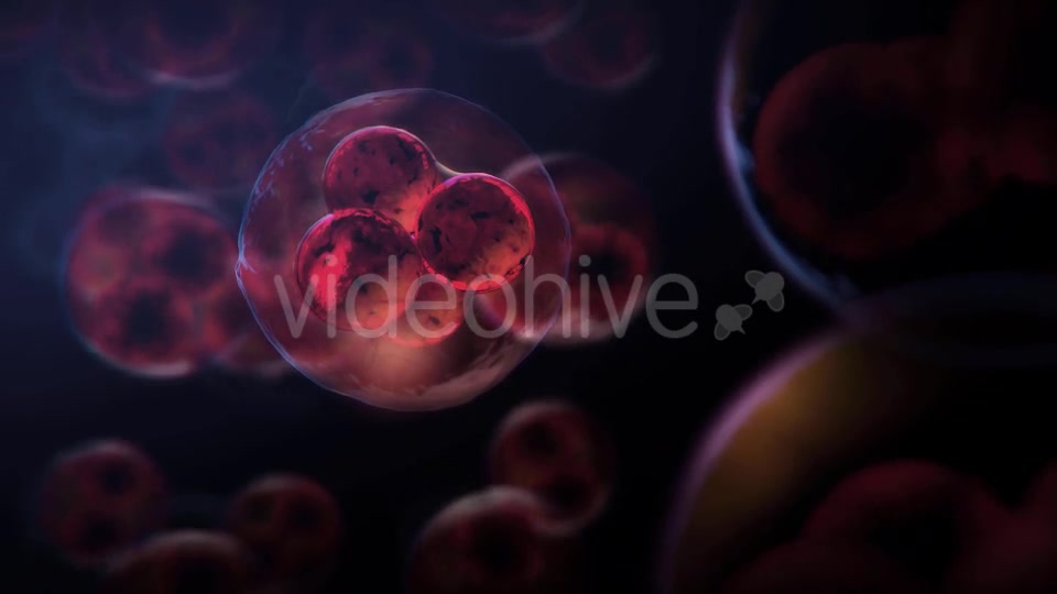 Cell DNA Hyper Division Videohive 19712618 Motion Graphics Image 8