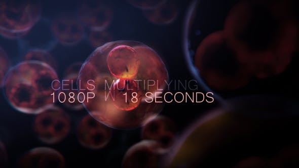 Cell DNA Hyper Division - Download 19712618 Videohive