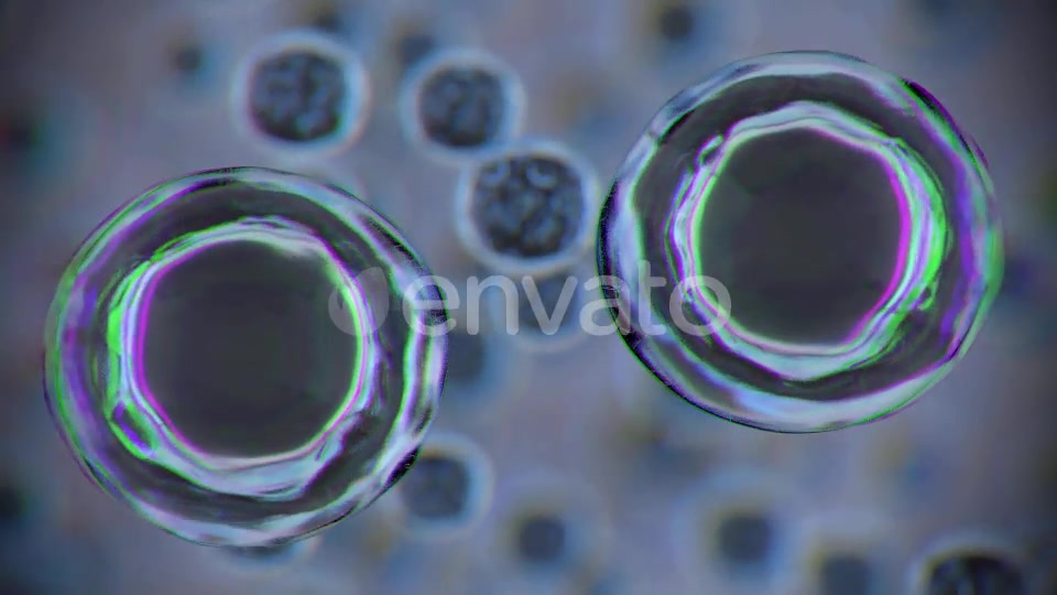 Cell Fusion Videohive 21884635 Motion Graphics Image 9
