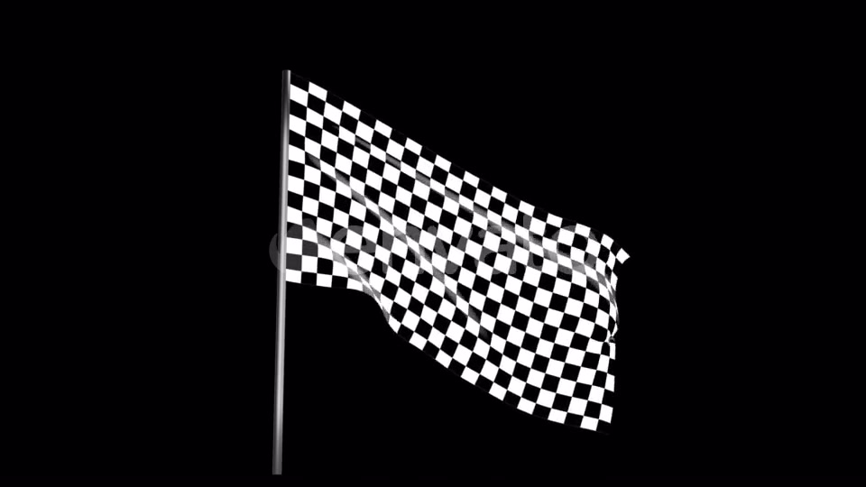 Checkered Race Flag Waving with an Alpha Channel Videohive 22040924 Motion Graphics Image 4