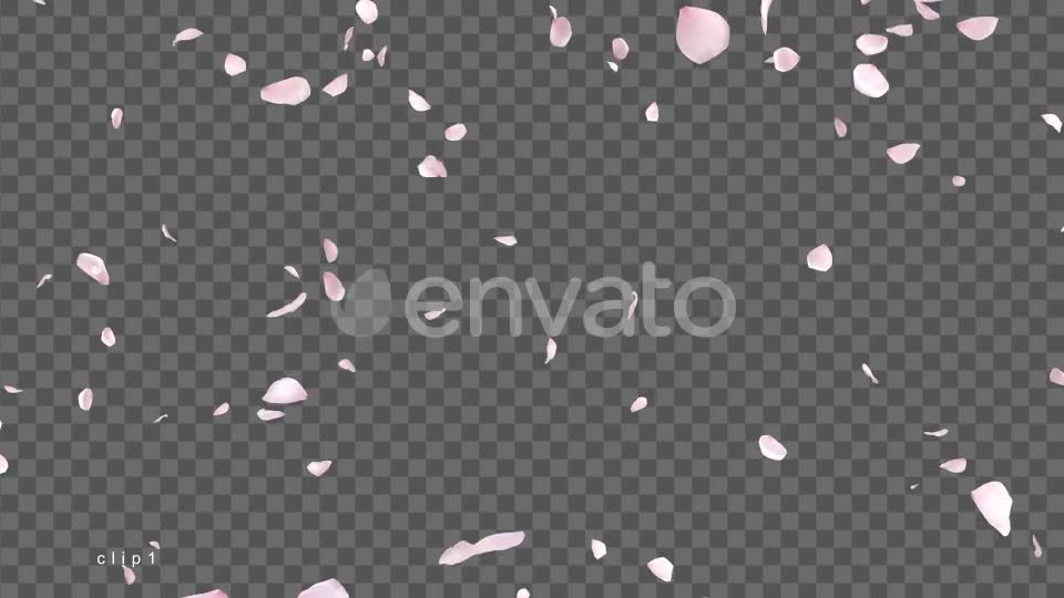 Cherry Blossom Videohive 21622837 Motion Graphics Image 1