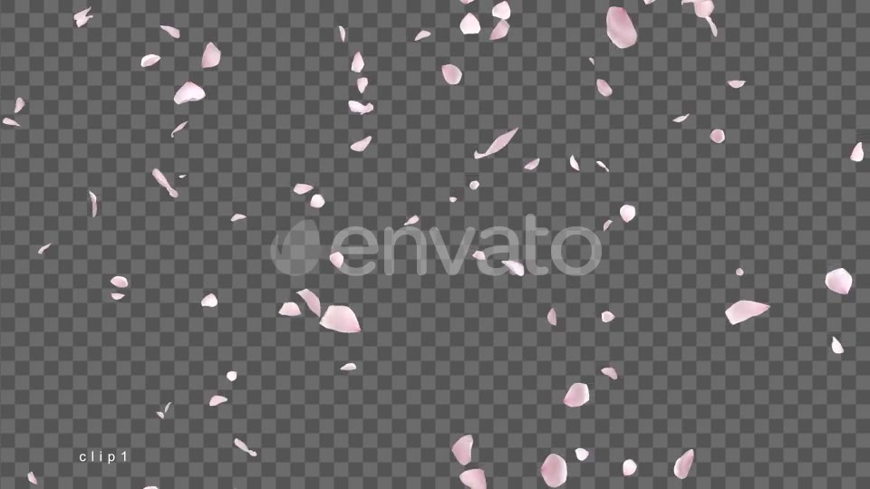 Cherry Blossom Videohive 21622837 Motion Graphics Image 2