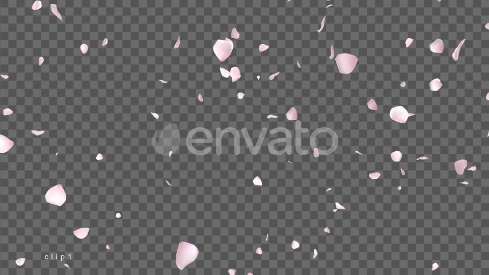 Cherry Blossom Videohive 21622837 Motion Graphics Image 3