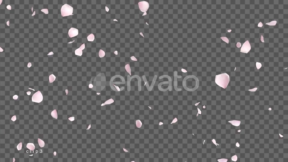 Cherry Blossom Videohive 21622837 Motion Graphics Image 7