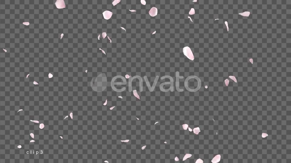 Cherry Blossom Videohive 21622837 Motion Graphics Image 8