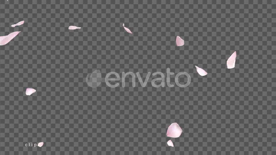 Cherry Blossom Videohive 21622837 Motion Graphics Image 9