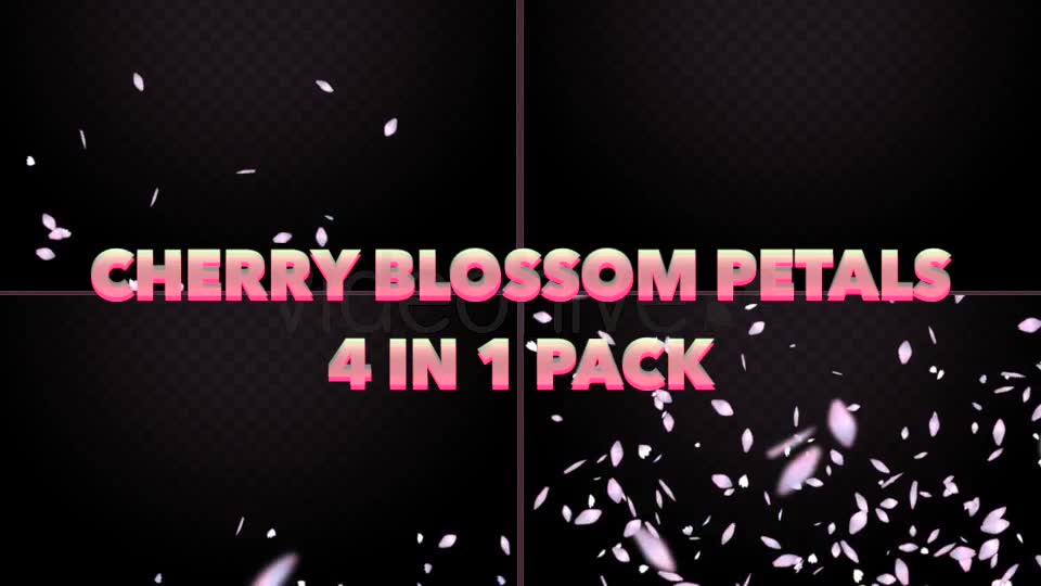 Cherry Blossom Petals Pack Videohive 20155122 Motion Graphics Image 2