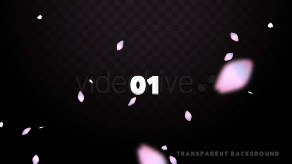 Cherry Blossom Petals Pack Videohive 20155122 Motion Graphics Image 4