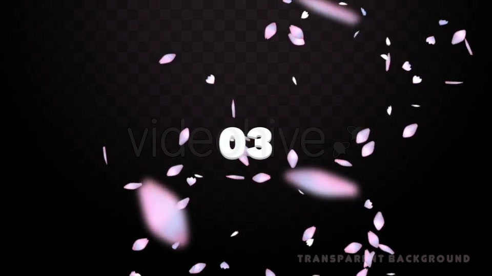Cherry Blossom Petals Pack Videohive 20155122 Motion Graphics Image 8
