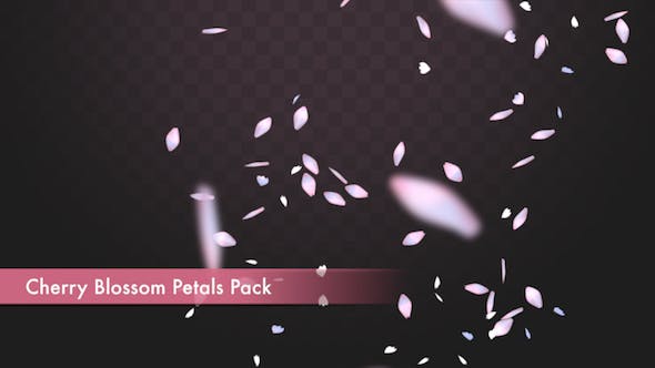Cherry Blossom Petals Pack - Download Videohive 20155122