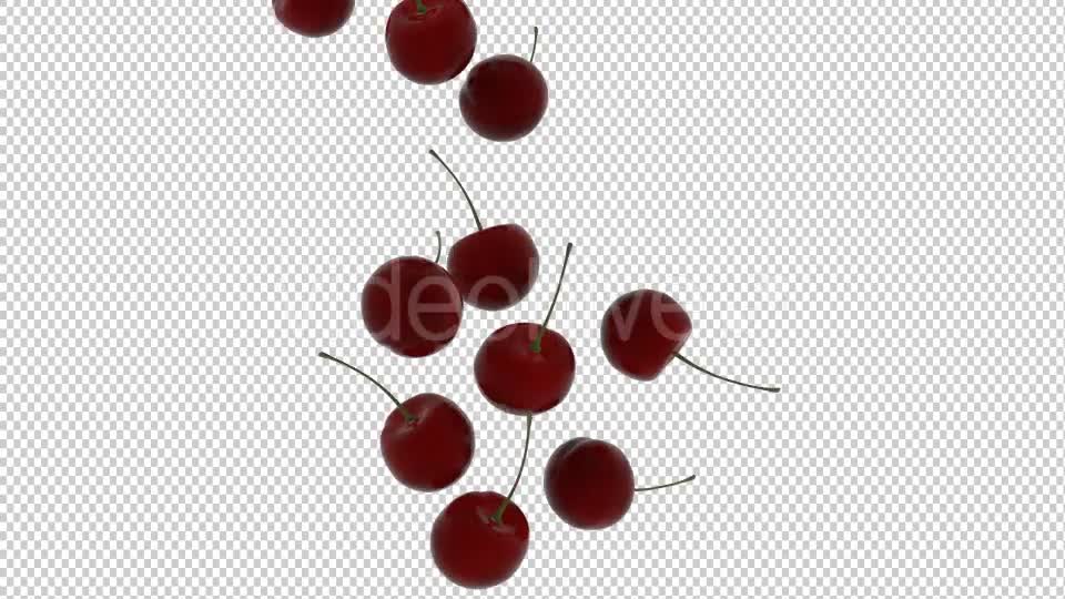 Cherry Transition Videohive 20514985 Motion Graphics Image 1