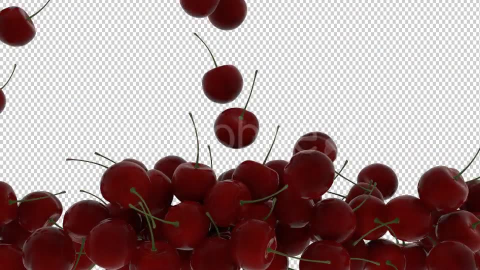 Cherry Transition Videohive 20514985 Motion Graphics Image 2