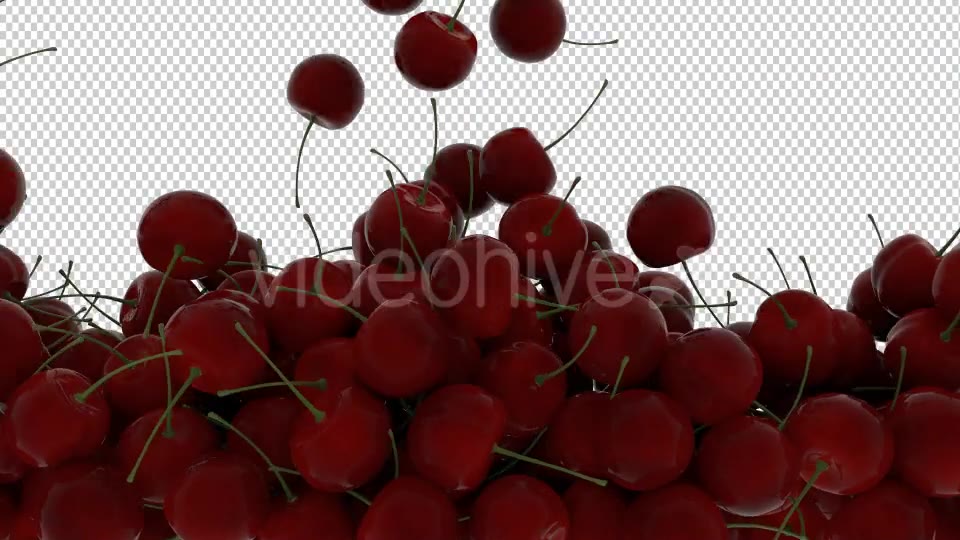 Cherry Transition Videohive 20514985 Motion Graphics Image 3